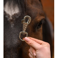Mousqueton Waldhausen standard longe