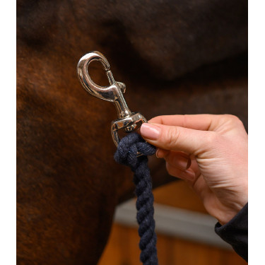 Mousqueton Waldhausen longes