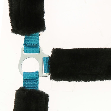 Licol Norton Full mouton synthétique Bleu électrique / noir