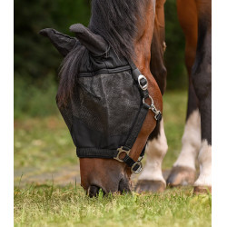 Masque anti-mouche équitation avec licol Waldhausen