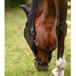 Masque anti-mouche équitation avec licol Waldhausen