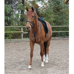 Martingale Waldhausen X-Line Noir