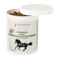 Magnesium Forte Waldhausen Magnesium Forte Waldhausen