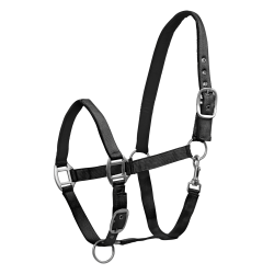 Licol Waldhausen Satin Noir