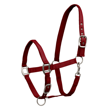 Licol Waldhausen Satin Bordeaux