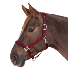 Licol Waldhausen Satin Bordeaux