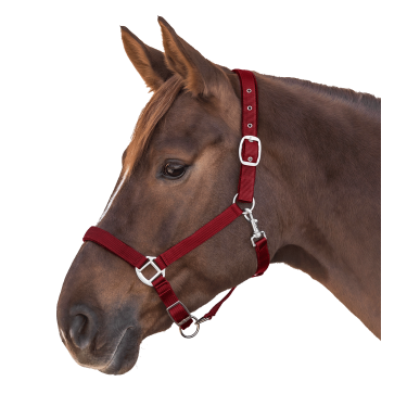 Licol Waldhausen Satin Bordeaux