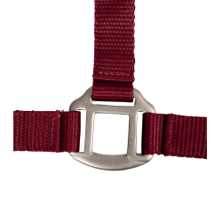 Licol Waldhausen Satin Bordeaux