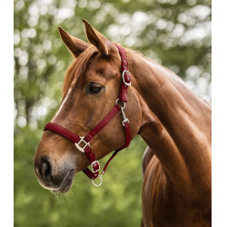 Licol Waldhausen Satin Bordeaux