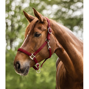 Licol Waldhausen Satin Bordeaux