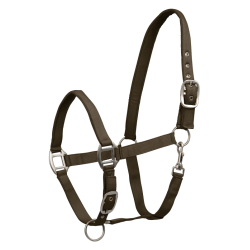 Licol Waldhausen Satin Brun vert Marron