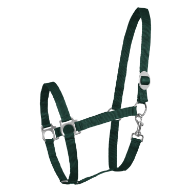 Licol Waldhausen Perlon Vert sapin