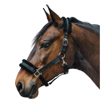Licol d'équitation Waldhausen avec fourrure douce Licol d'équitation Waldhausen avec fourrure douce