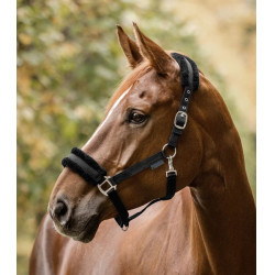 Licol d'équitation Waldhausen avec fourrure douce Licol d'équitation Waldhausen avec fourrure douce