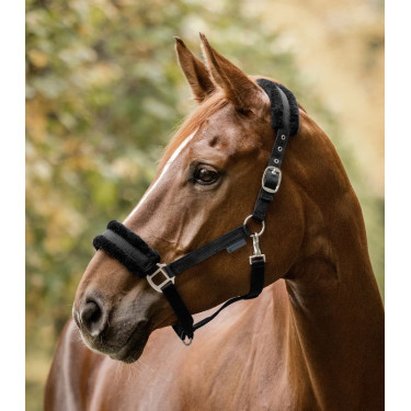 Licol d'équitation Waldhausen avec fourrure douce Licol d'équitation Waldhausen avec fourrure douce