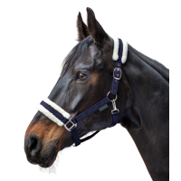 Licol Waldhausen First Bleu nocturne Licol Waldhausen First Bleu nocturne