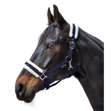 Licol Waldhausen First Bleu nocturne Licol Waldhausen First Bleu nocturne