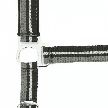 Licol + longe Norton Brillant Noir / gris / argent Licol + longe Norton Brillant Noir / gris / argent
