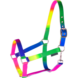 Licol Waldhausen Arc-en-ciel Néon multicolor Multi-couleurs