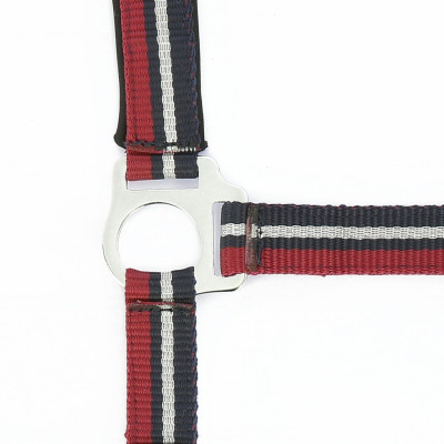 Licol + longe Norton Brillant Rouge / marine / argent