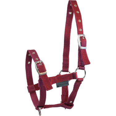 Licol Poulain Waldhausen Triple Bordeaux