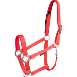 Licol d'équitation avec sécurité scratch Waldhausen Licol d'équitation avec sécurité scratch Waldhausen