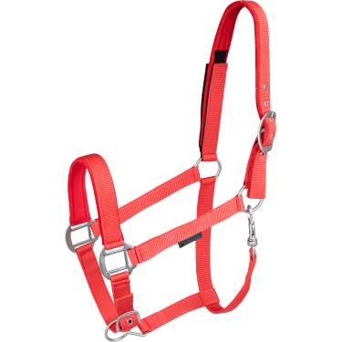 Licol d'équitation avec sécurité scratch Waldhausen Licol d'équitation avec sécurité scratch Waldhausen