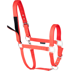 Licol d'équitation avec sécurité scratch Waldhausen Licol d'équitation avec sécurité scratch Waldhausen