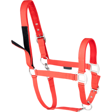 Licol d'équitation avec sécurité scratch Waldhausen Licol d'équitation avec sécurité scratch Waldhausen