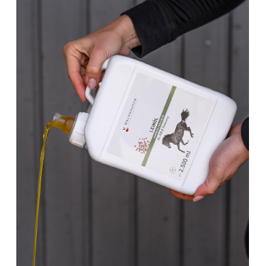 Huile de lin pour cheval – Soin pelage et digestion Huile de lin pour cheval – Soin pelage et digestion