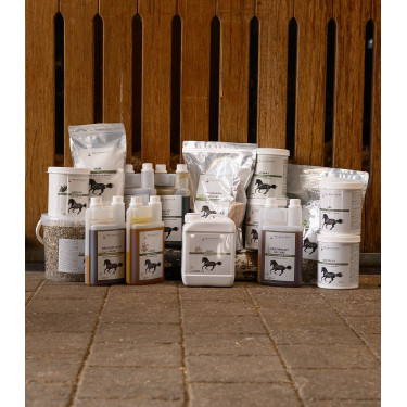 Huile de lin pour cheval – Soin pelage et digestion Huile de lin pour cheval – Soin pelage et digestion