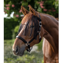 Frontal chasse-mouche Waldhausen Salon Noir
