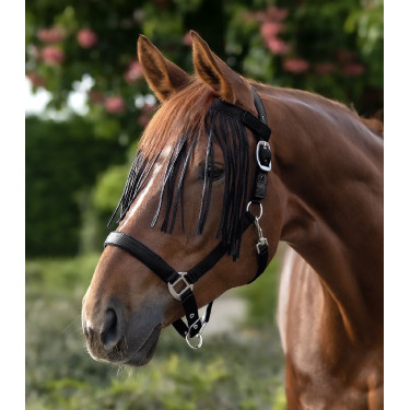 Frontal chasse-mouche Waldhausen Salon Noir
