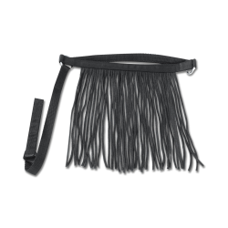 Frontal chasse-mouche Waldhausen autonome Noir