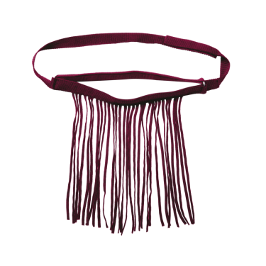 Frontal chasse-mouche Waldhausen autonome Bordeaux Frontal chasse-mouche Waldhausen autonome Bordeaux