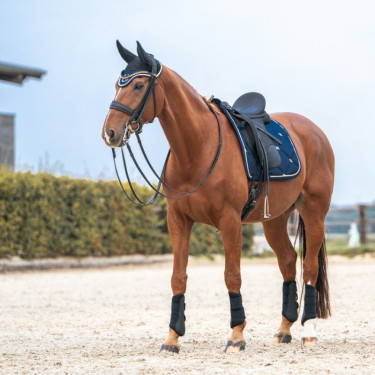 Tapis de Selle Dressage Night Collection Back On Track Tapis de Selle Dressage Night Collection Back On Track