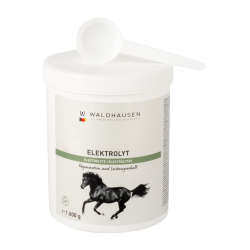 Électrolytes cheval – Récupération après effort