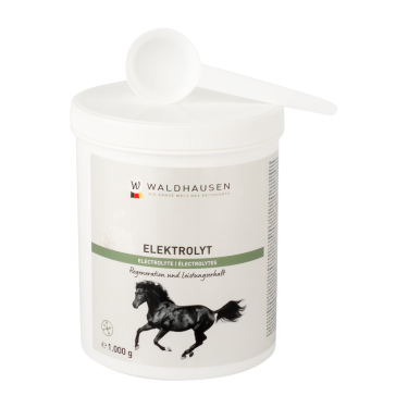 Électrolytes cheval – Récupération après effort