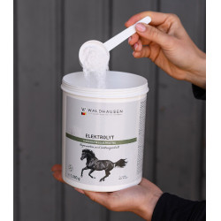 Électrolytes cheval – Récupération après effort