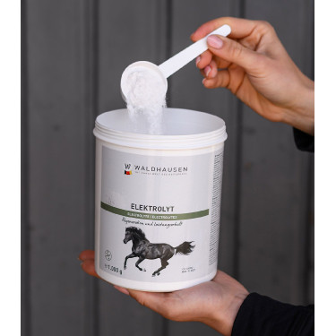 Électrolytes cheval – Récupération après effort