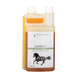 Électrolytes cheval – Récupération après effort