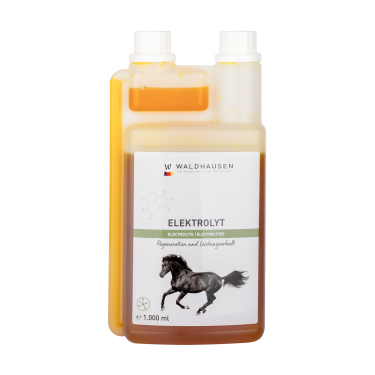 Électrolytes cheval – Récupération après effort