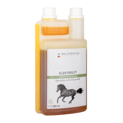 Électrolytes cheval – Récupération après effort