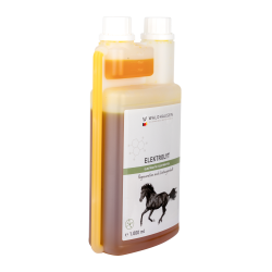 Électrolytes cheval – Récupération après effort