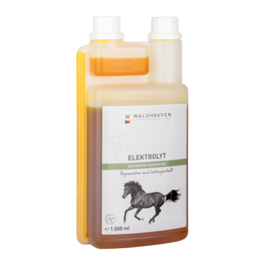 Électrolytes cheval – Récupération après effort