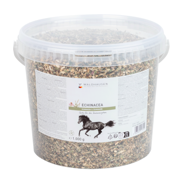 Complément équitation Échinacée pour immunité cheval Complément équitation Échinacée pour immunité cheval
