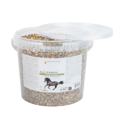 Complément équitation Échinacée pour immunité cheval Complément équitation Échinacée pour immunité cheval