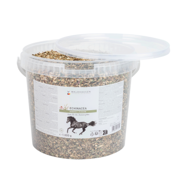 Complément équitation Échinacée pour immunité cheval Complément équitation Échinacée pour immunité cheval