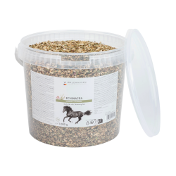 Complément équitation Échinacée pour immunité cheval Complément équitation Échinacée pour immunité cheval