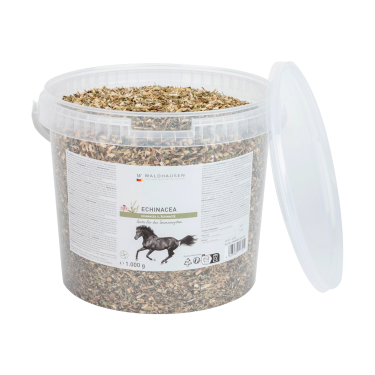 Complément équitation Échinacée pour immunité cheval Complément équitation Échinacée pour immunité cheval